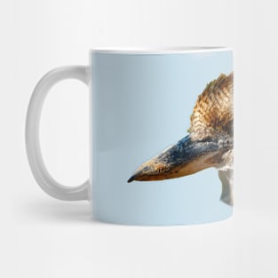 Kookaburra portrait Mug